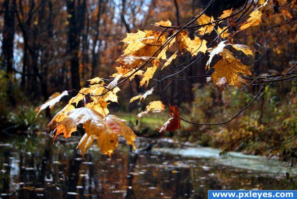 Fall fishing